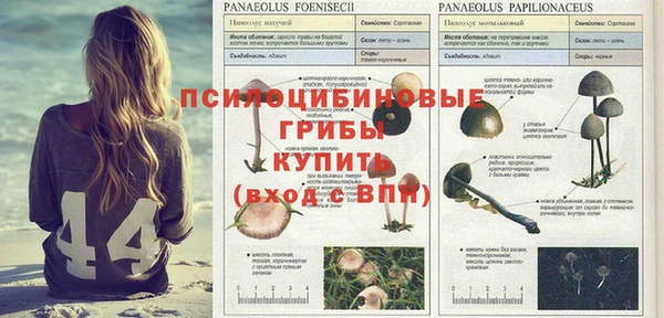 а пвп мука Сясьстрой