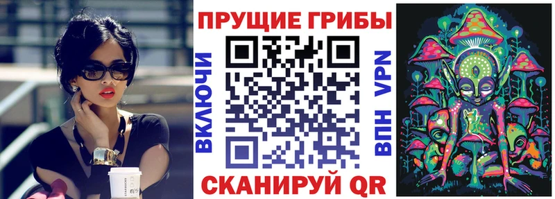 Псилоцибиновые грибы MAGIC MUSHROOMS  как найти закладки  Псков 